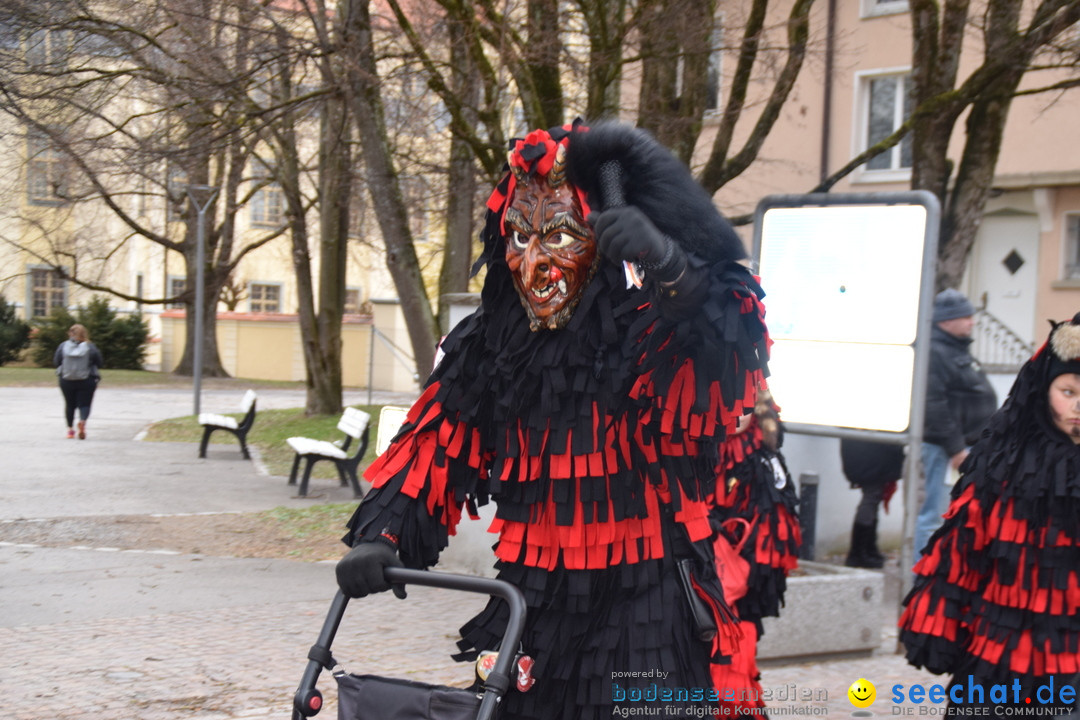 Fasnetsumzug - Fasching: Tettnang am Bodensee, 05.03.2019