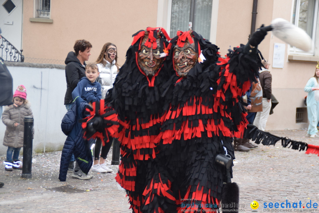 Fasnetsumzug - Fasching: Tettnang am Bodensee, 05.03.2019