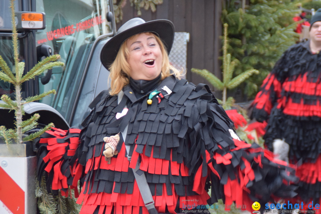 Fasnetsumzug - Fasching: Tettnang am Bodensee, 05.03.2019