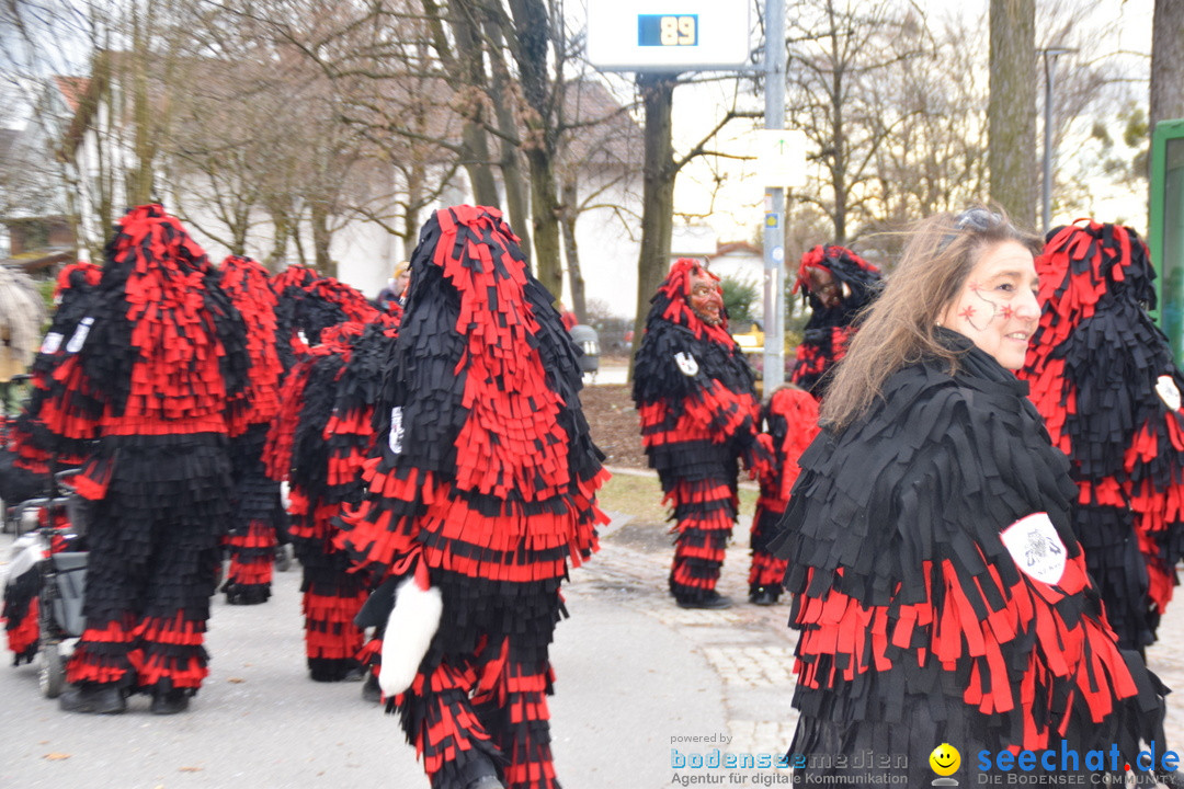 Fasnetsumzug - Fasching: Tettnang am Bodensee, 05.03.2019