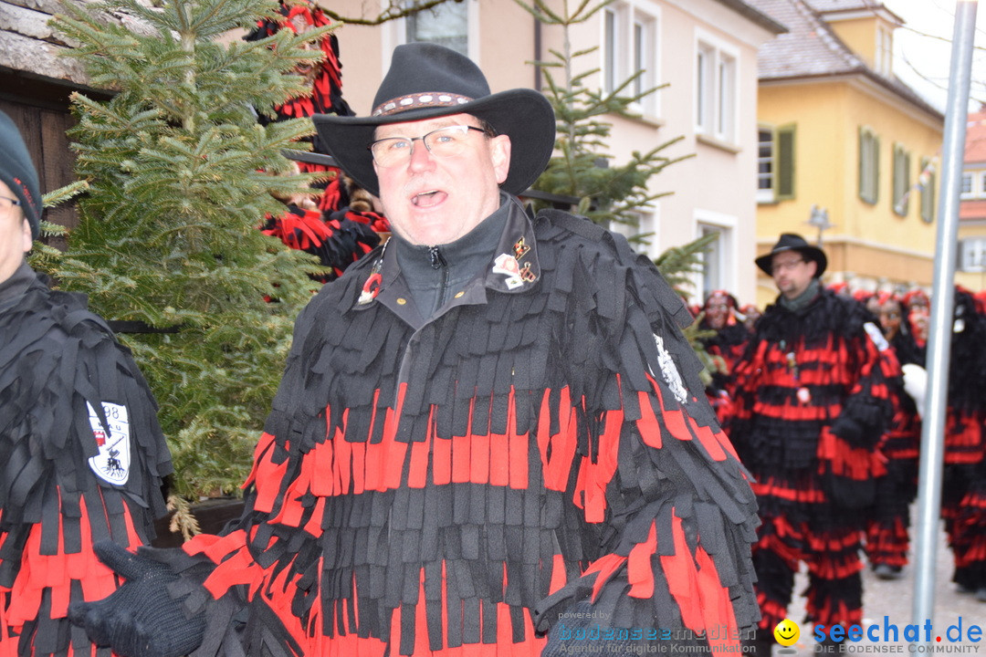 Fasnetsumzug - Fasching: Tettnang am Bodensee, 05.03.2019