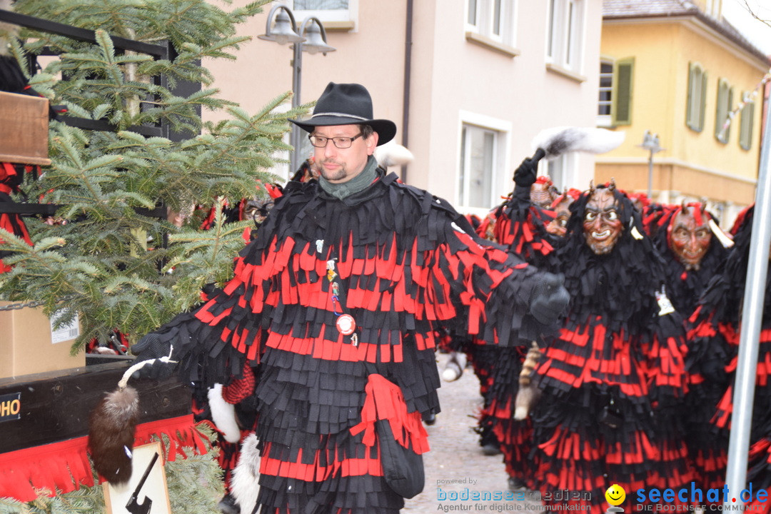 Fasnetsumzug - Fasching: Tettnang am Bodensee, 05.03.2019