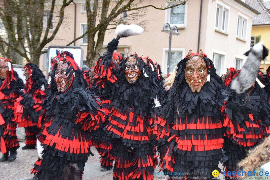 Fasnetsumzug - Fasching: Tettnang am Bodensee, 05.03.2019