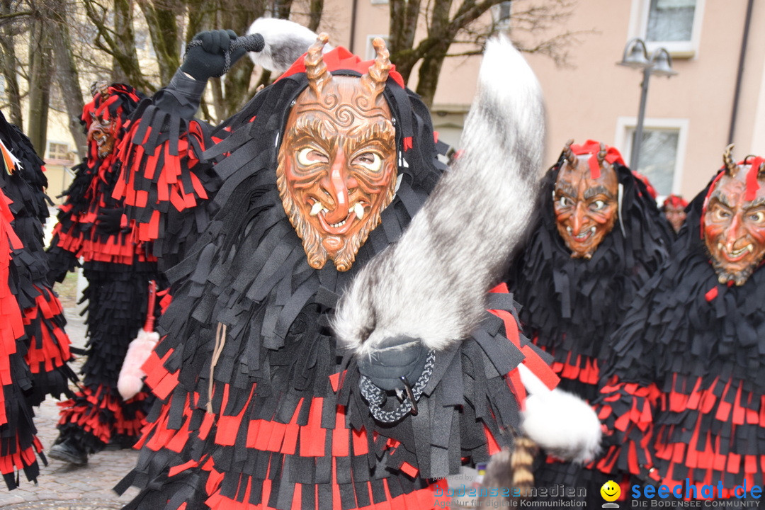 Fasnetsumzug - Fasching: Tettnang am Bodensee, 05.03.2019