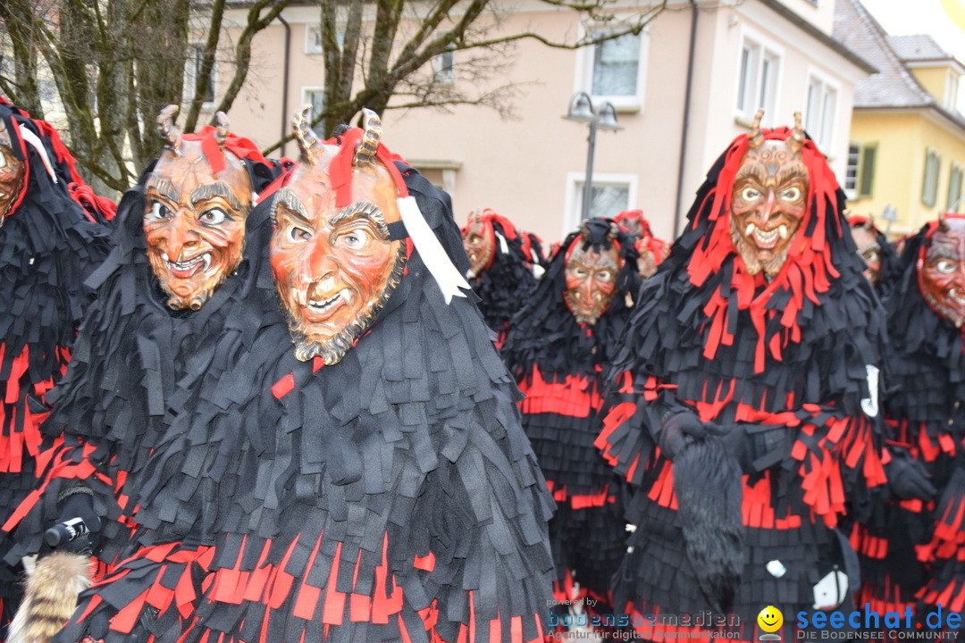 Fasnetsumzug - Fasching: Tettnang am Bodensee, 05.03.2019