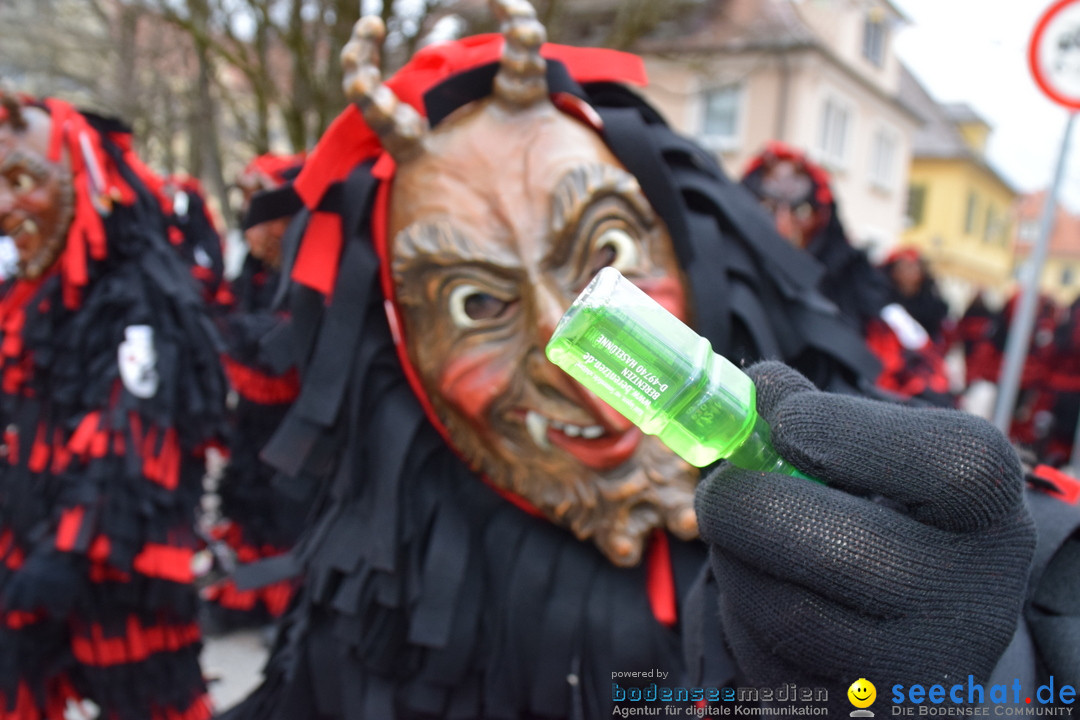 Fasnetsumzug - Fasching: Tettnang am Bodensee, 05.03.2019