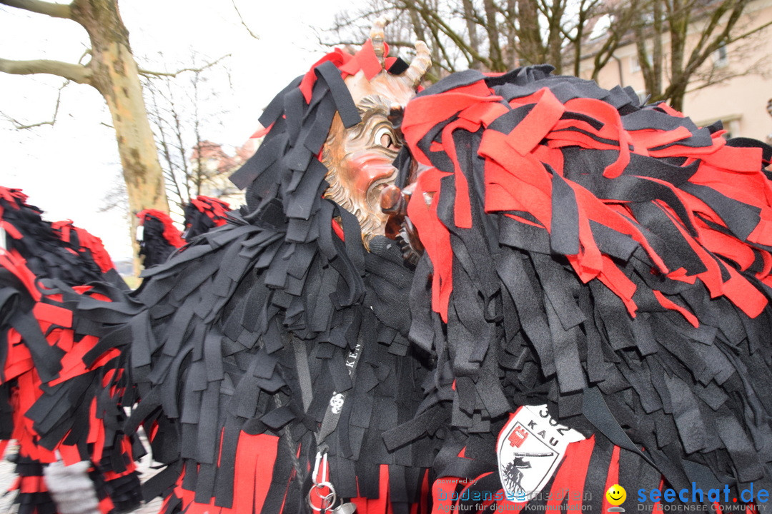 Fasnetsumzug - Fasching: Tettnang am Bodensee, 05.03.2019