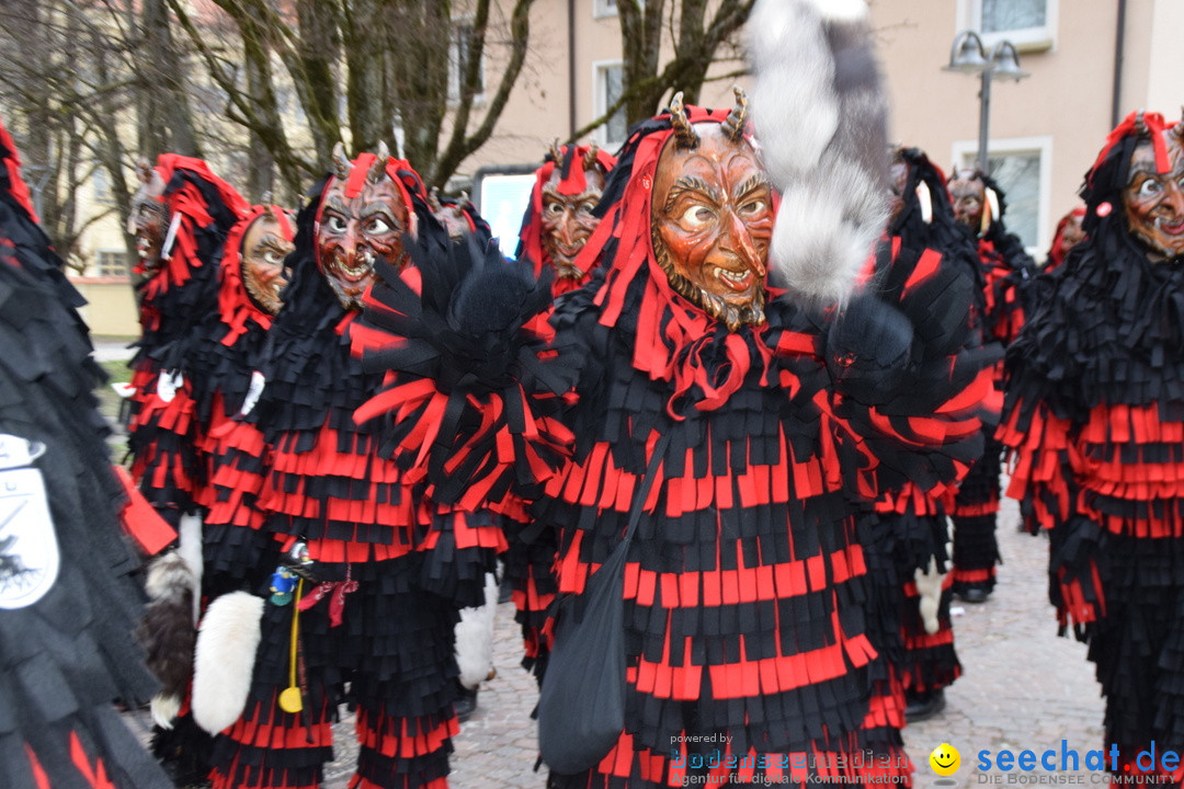 Fasnetsumzug - Fasching: Tettnang am Bodensee, 05.03.2019