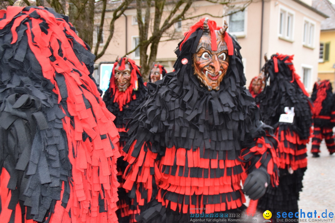 Fasnetsumzug - Fasching: Tettnang am Bodensee, 05.03.2019