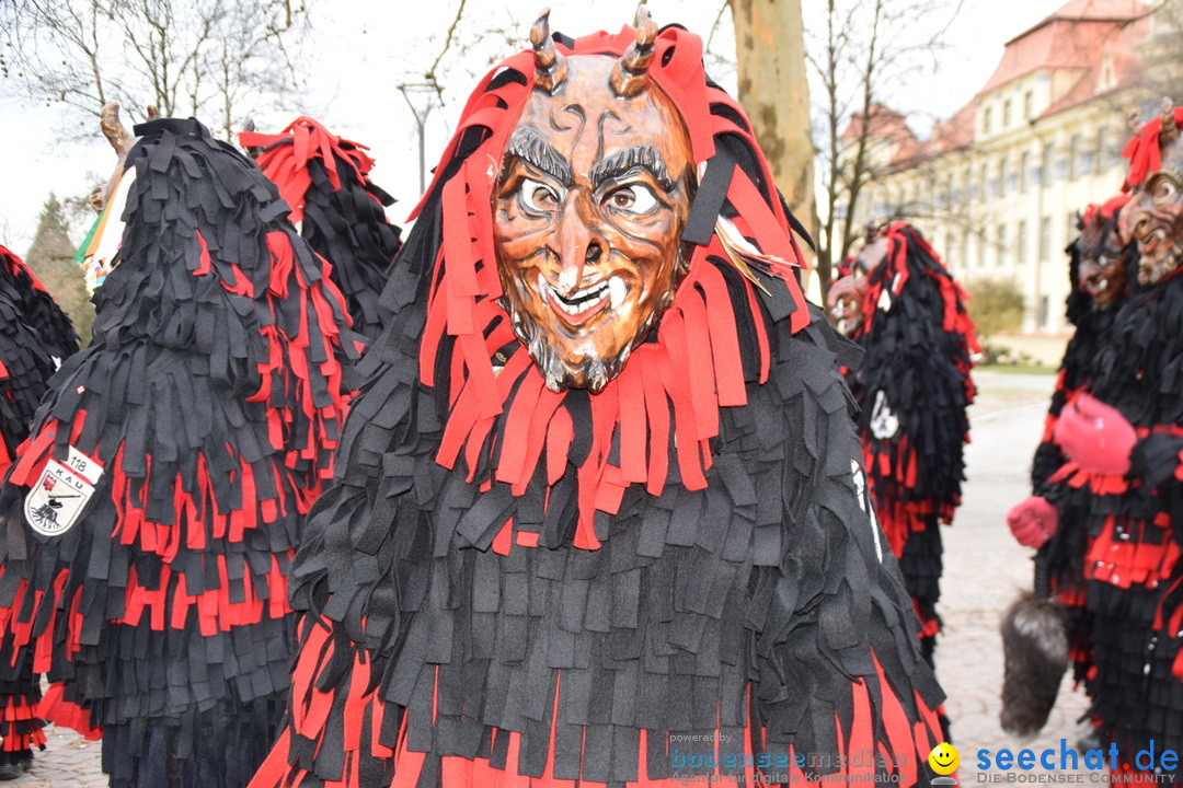 Fasnetsumzug - Fasching: Tettnang am Bodensee, 05.03.2019