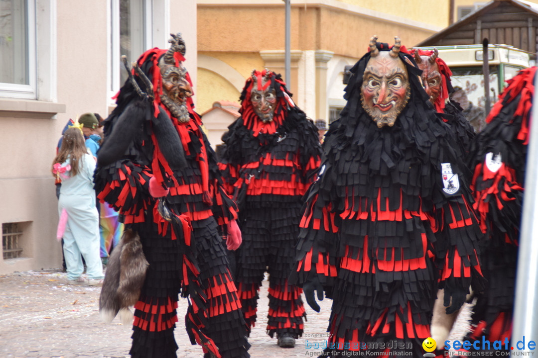 Fasnetsumzug - Fasching: Tettnang am Bodensee, 05.03.2019