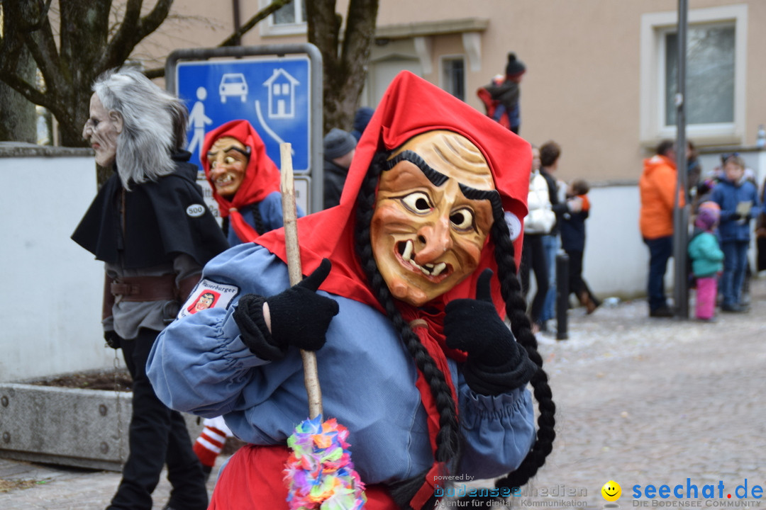 Fasnetsumzug - Fasching: Tettnang am Bodensee, 05.03.2019