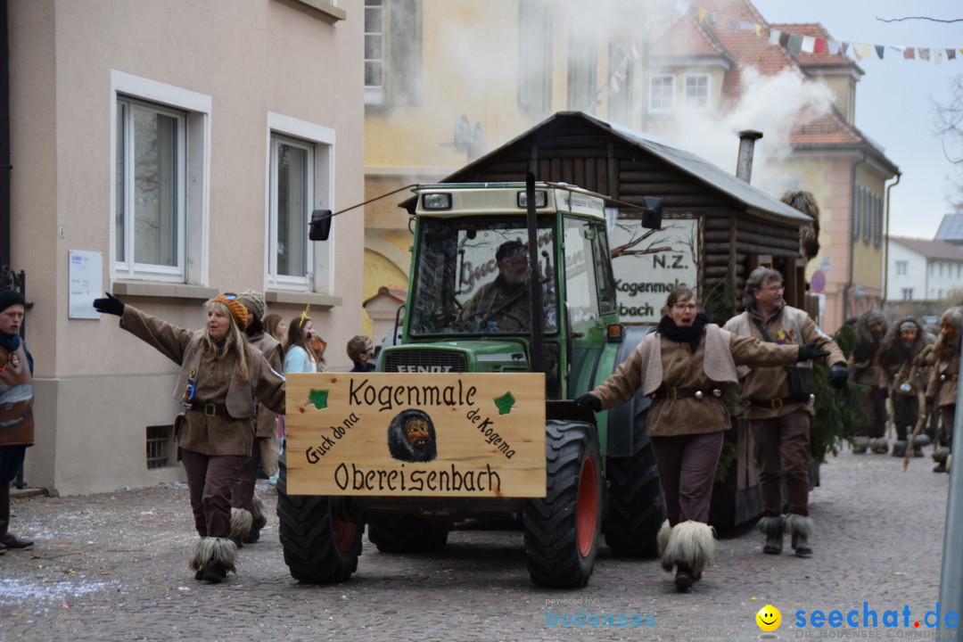 Fasnetsumzug - Fasching: Tettnang am Bodensee, 05.03.2019