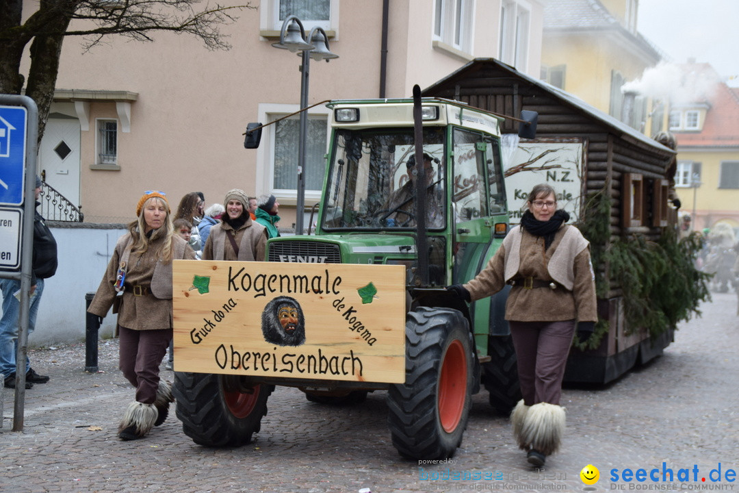 Fasnetsumzug - Fasching: Tettnang am Bodensee, 05.03.2019