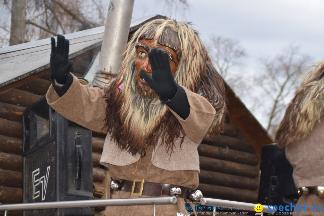 Fasnetsumzug - Fasching: Tettnang am Bodensee, 05.03.2019