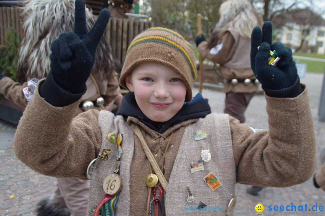 Fasnetsumzug - Fasching: Tettnang am Bodensee, 05.03.2019