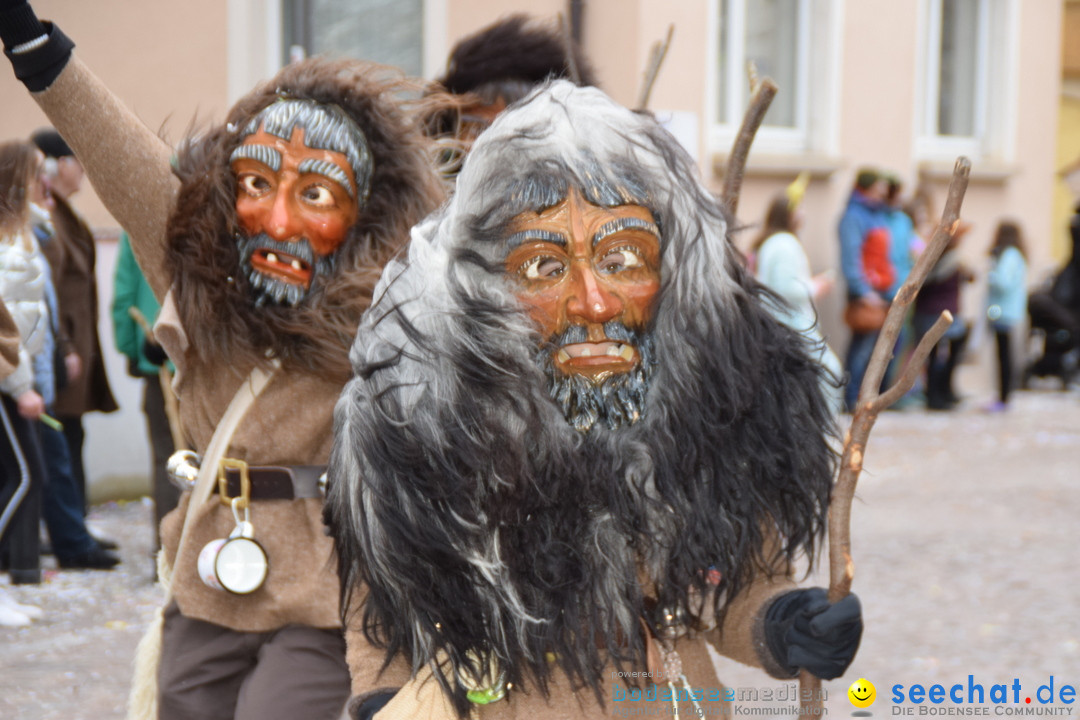 Fasnetsumzug - Fasching: Tettnang am Bodensee, 05.03.2019