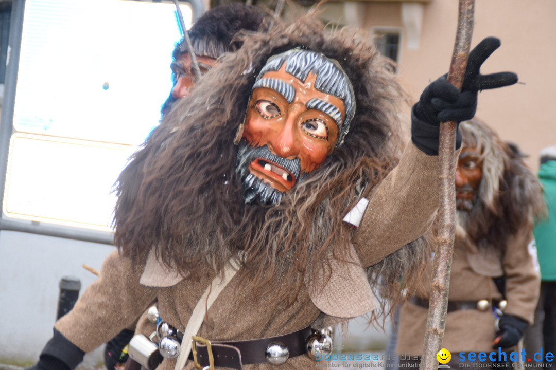 Fasnetsumzug - Fasching: Tettnang am Bodensee, 05.03.2019