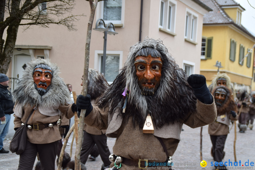 Fasnetsumzug - Fasching: Tettnang am Bodensee, 05.03.2019