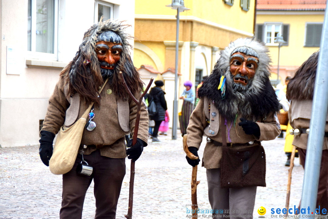 Fasnetsumzug - Fasching: Tettnang am Bodensee, 05.03.2019