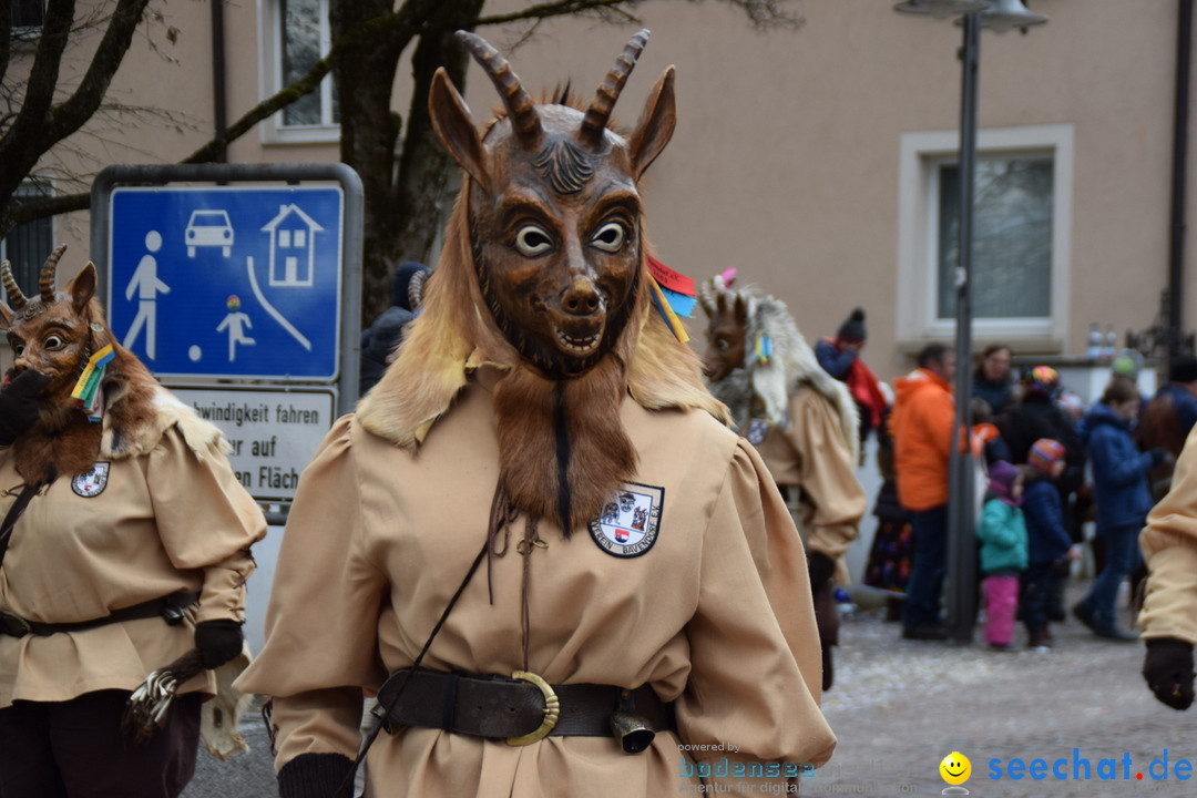 Fasnetsumzug - Fasching: Tettnang am Bodensee, 05.03.2019