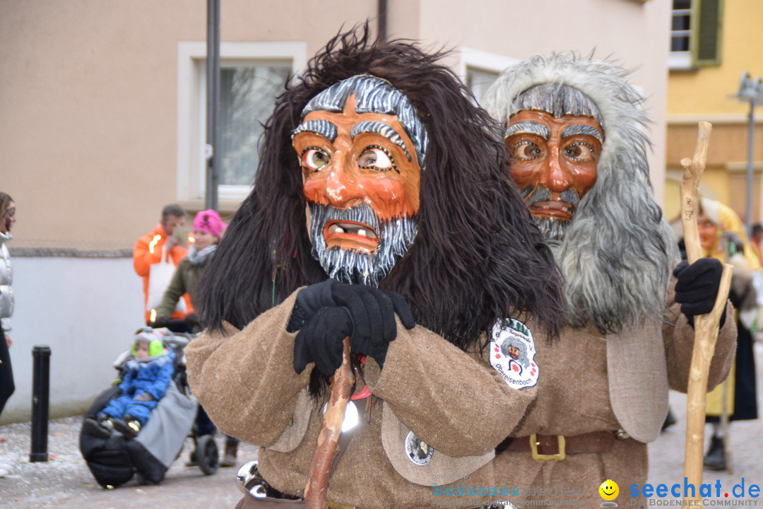 Fasnetsumzug - Fasching: Tettnang am Bodensee, 05.03.2019