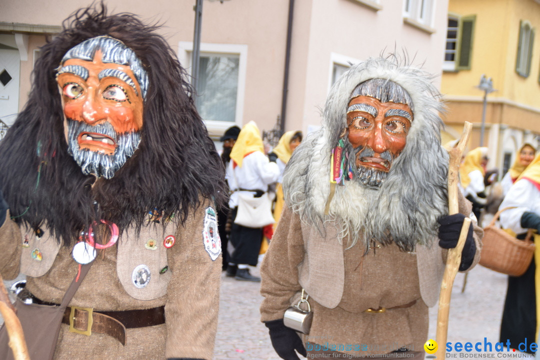 Fasnetsumzug - Fasching: Tettnang am Bodensee, 05.03.2019