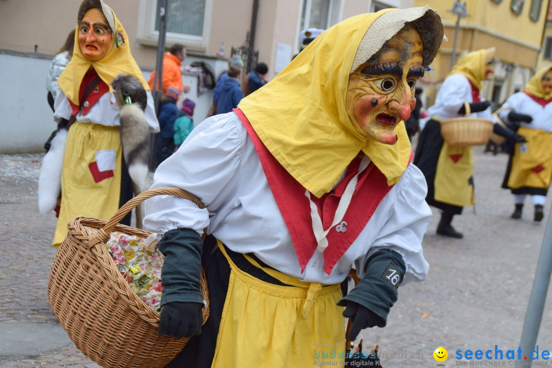 Fasnetsumzug - Fasching: Tettnang am Bodensee, 05.03.2019