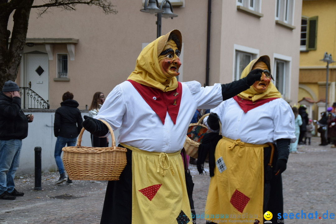 Fasnetsumzug - Fasching: Tettnang am Bodensee, 05.03.2019