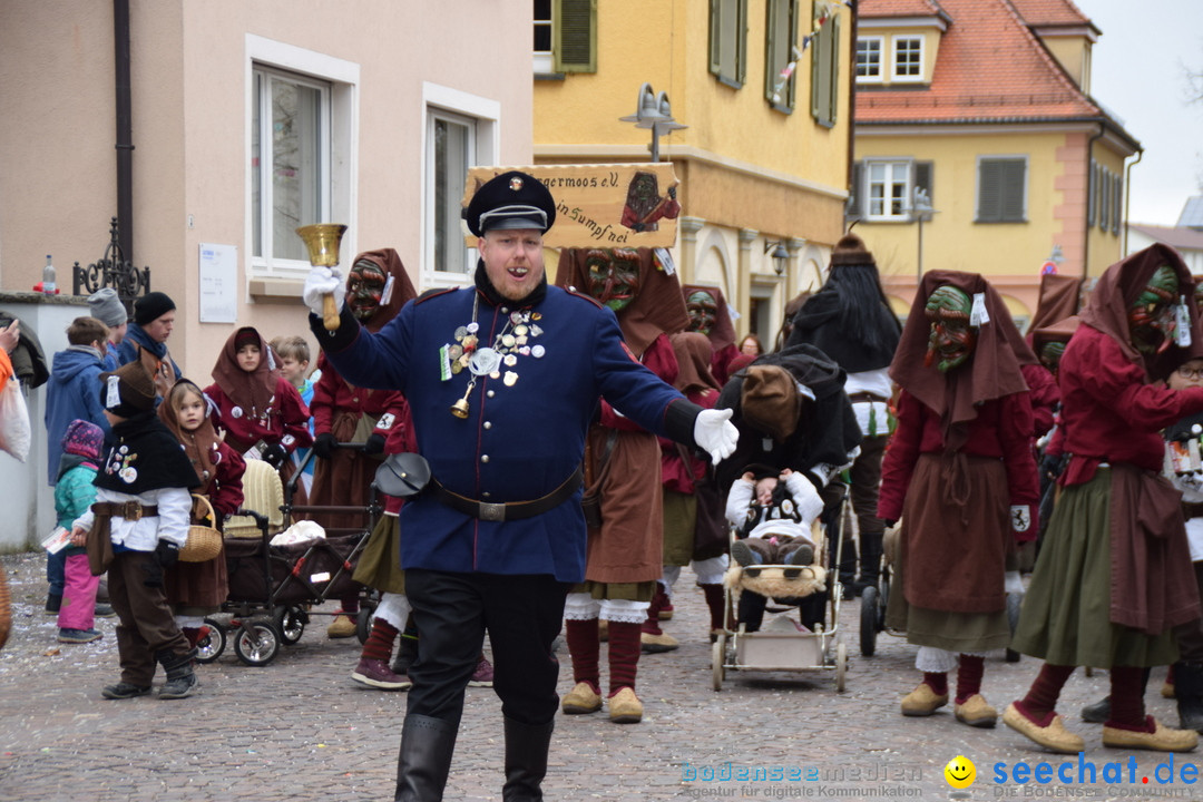 Fasnetsumzug - Fasching: Tettnang am Bodensee, 05.03.2019