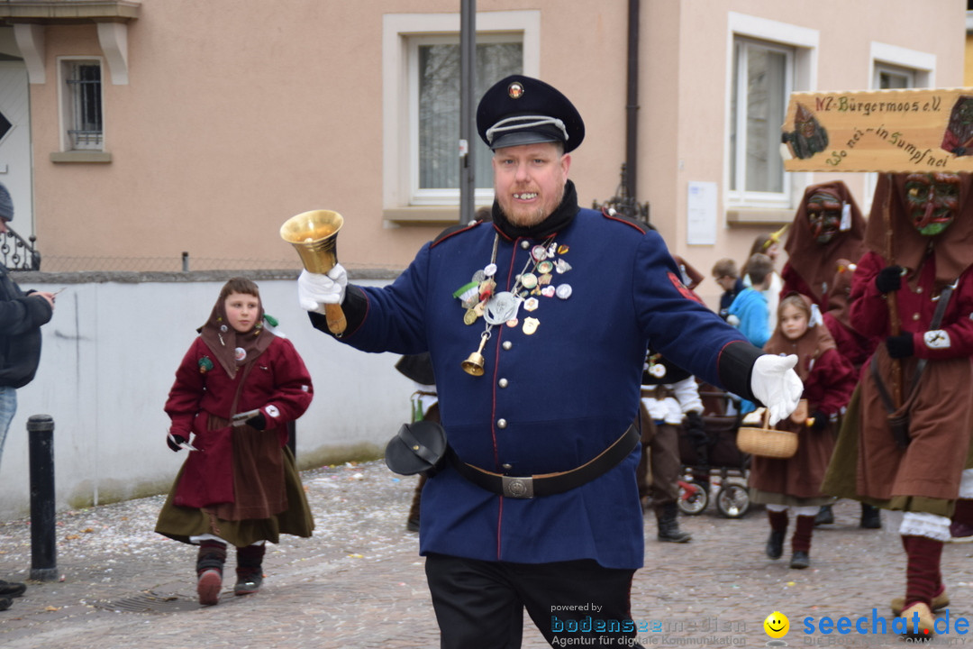 Fasnetsumzug - Fasching: Tettnang am Bodensee, 05.03.2019