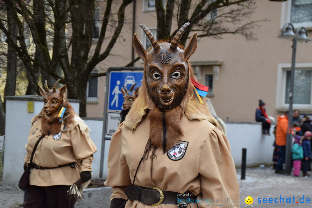 Fasnetsumzug - Fasching: Tettnang am Bodensee, 05.03.2019