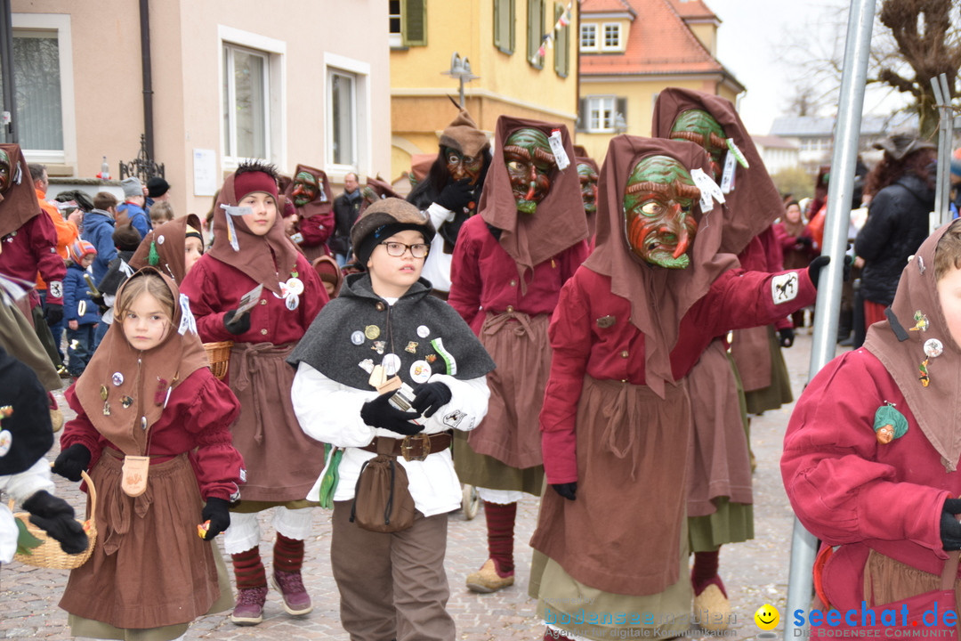 Fasnetsumzug - Fasching: Tettnang am Bodensee, 05.03.2019