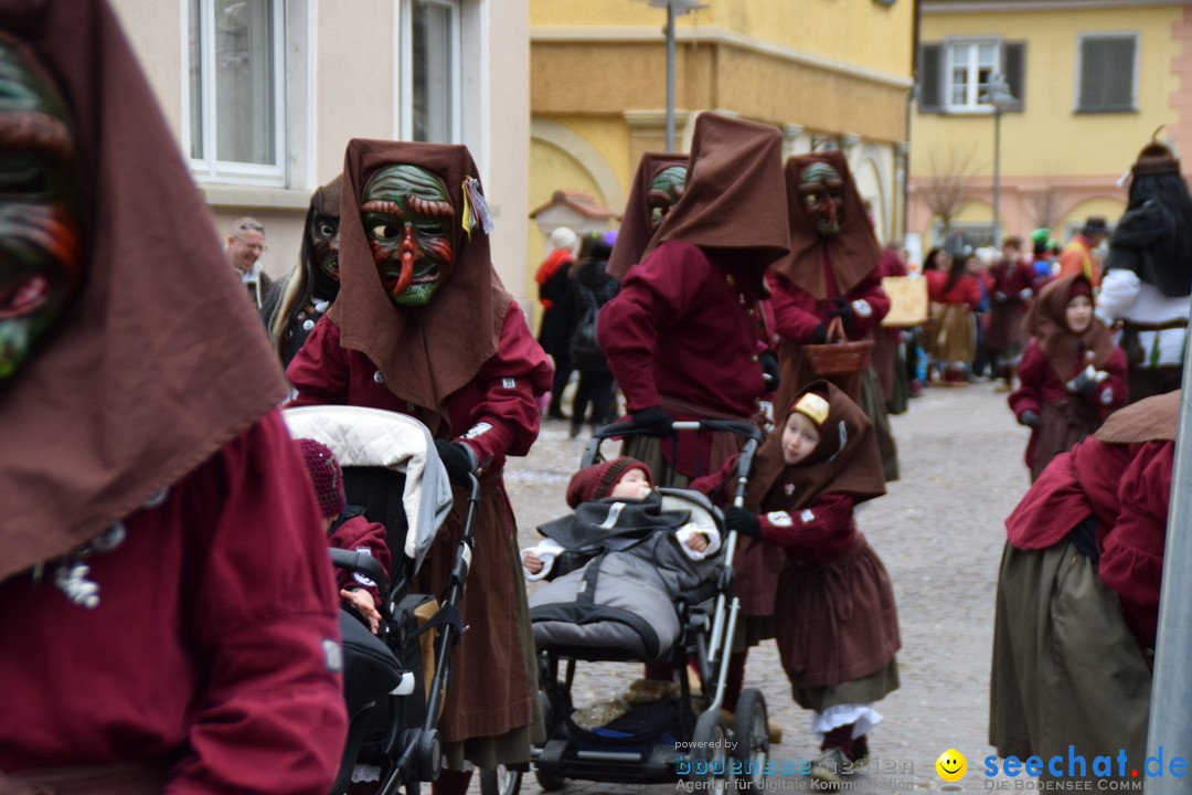 Fasnetsumzug - Fasching: Tettnang am Bodensee, 05.03.2019