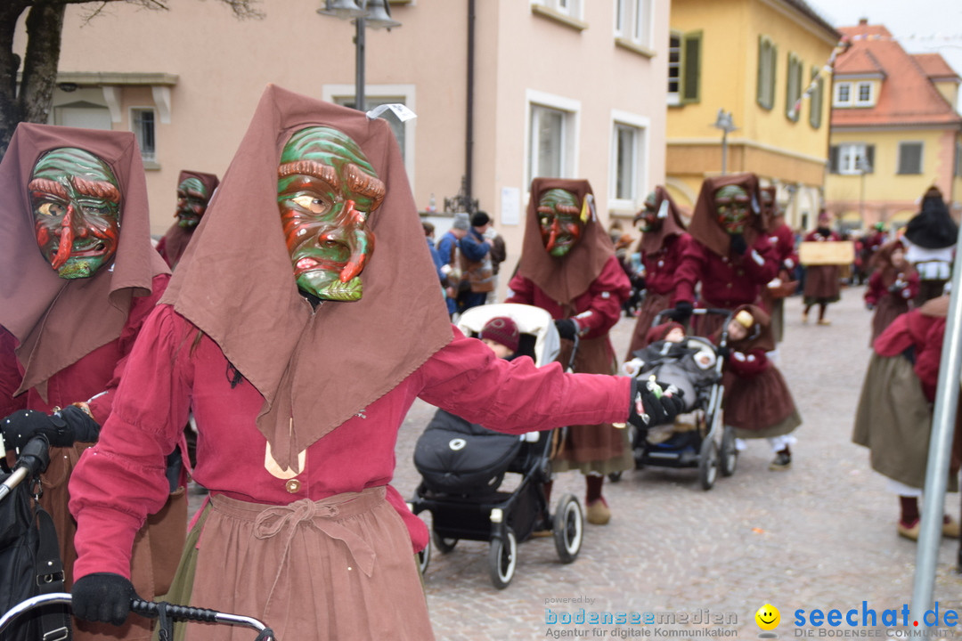 Fasnetsumzug - Fasching: Tettnang am Bodensee, 05.03.2019