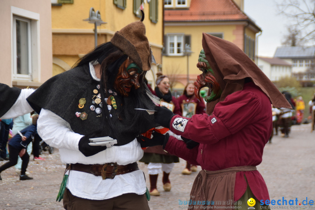 Fasnetsumzug - Fasching: Tettnang am Bodensee, 05.03.2019