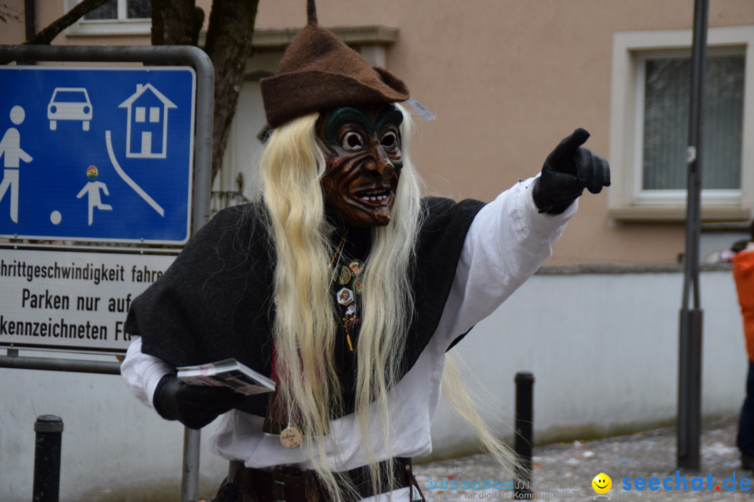 Fasnetsumzug - Fasching: Tettnang am Bodensee, 05.03.2019