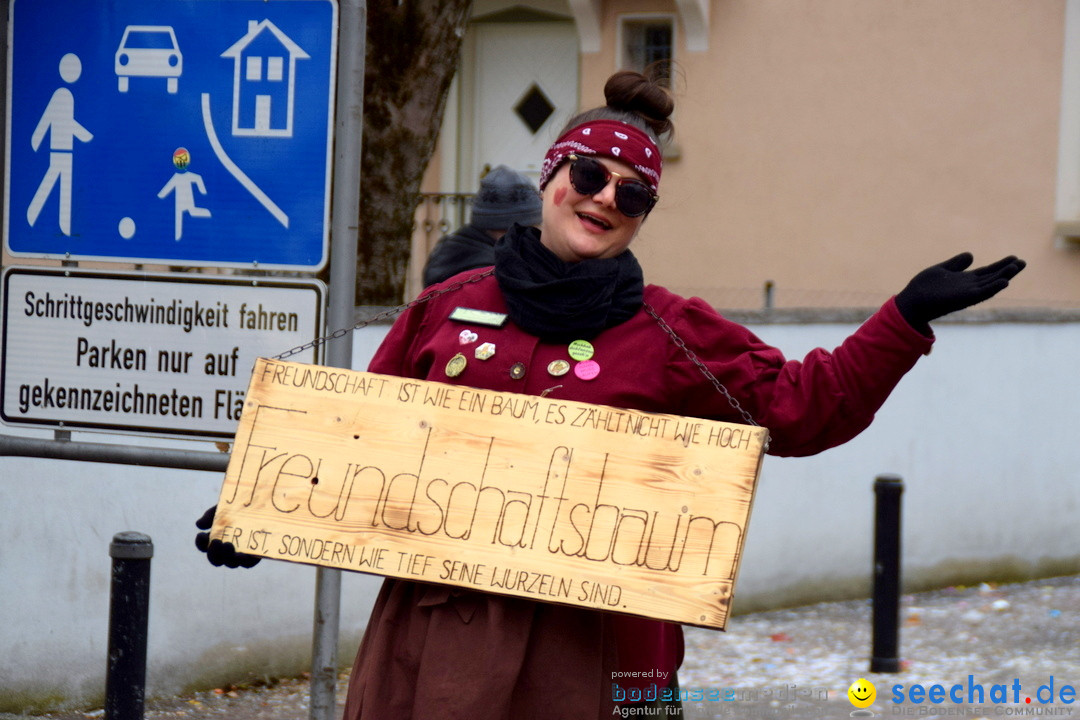 Fasnetsumzug - Fasching: Tettnang am Bodensee, 05.03.2019