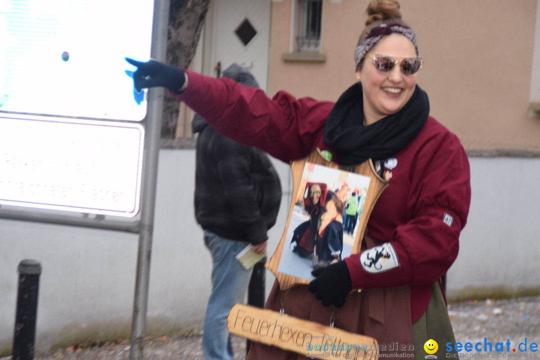 Fasnetsumzug - Fasching: Tettnang am Bodensee, 05.03.2019