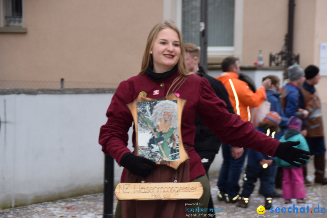 Fasnetsumzug - Fasching: Tettnang am Bodensee, 05.03.2019