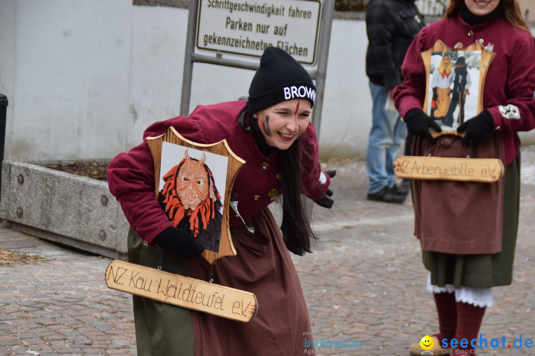 Fasnetsumzug - Fasching: Tettnang am Bodensee, 05.03.2019