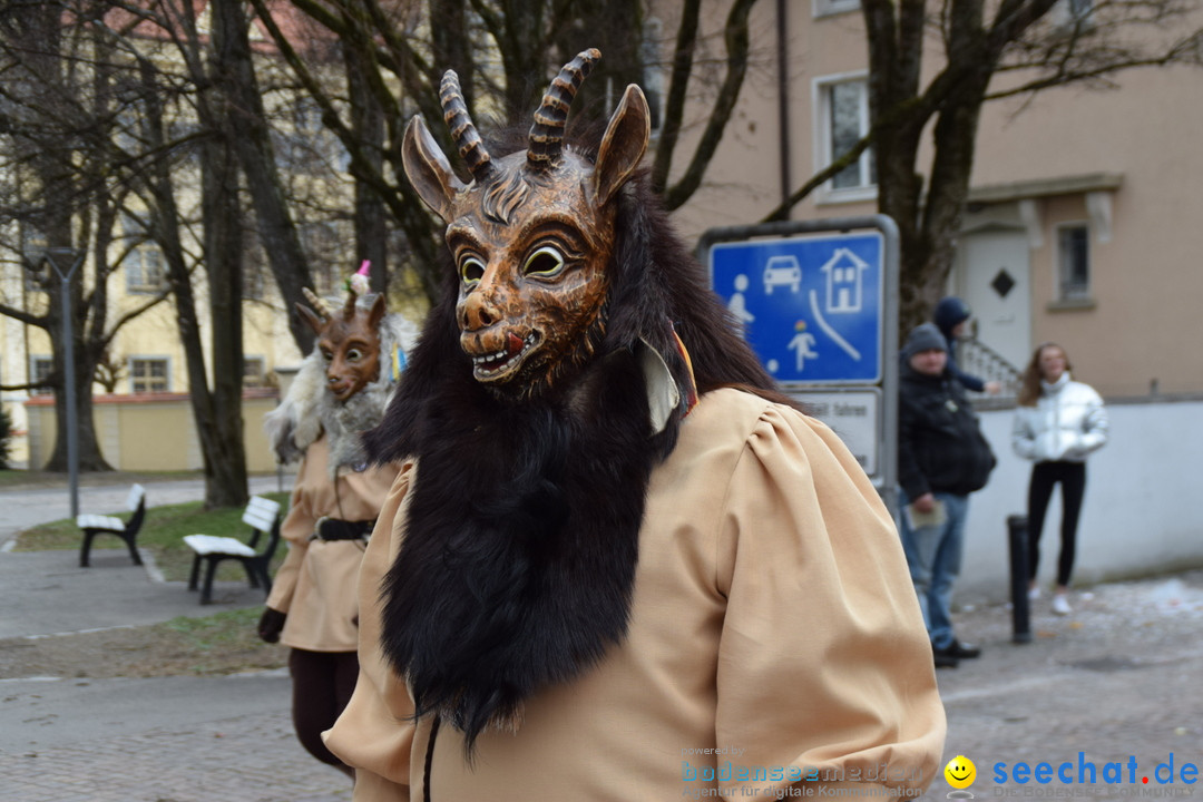 Fasnetsumzug - Fasching: Tettnang am Bodensee, 05.03.2019