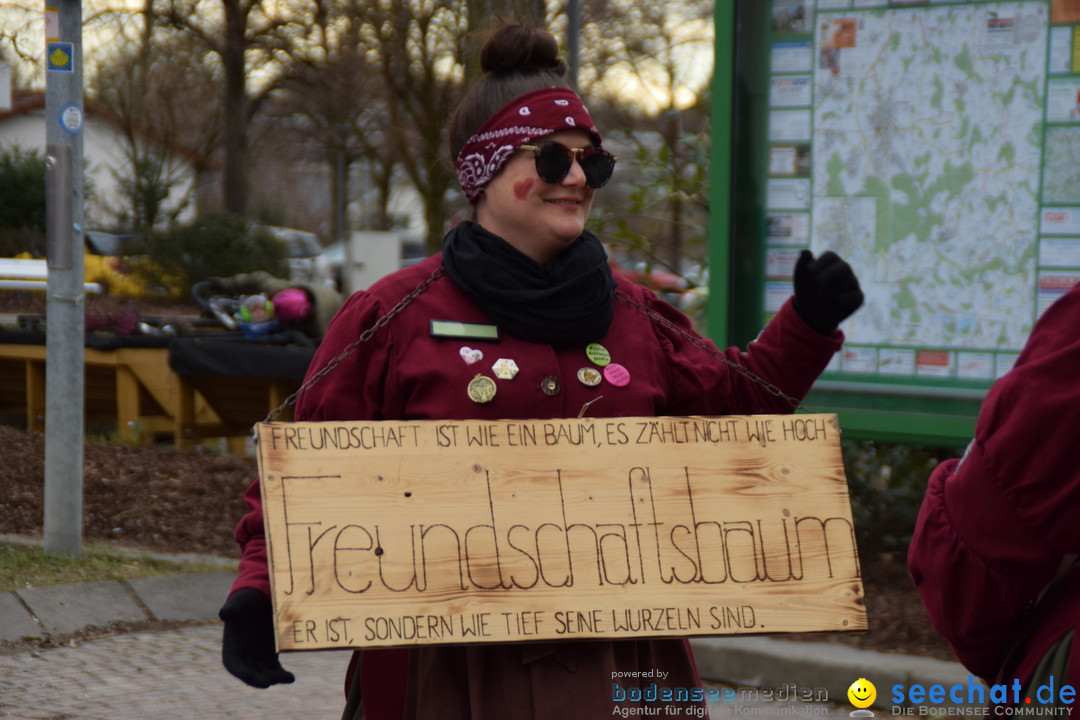 Fasnetsumzug - Fasching: Tettnang am Bodensee, 05.03.2019