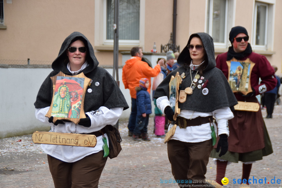 Fasnetsumzug - Fasching: Tettnang am Bodensee, 05.03.2019