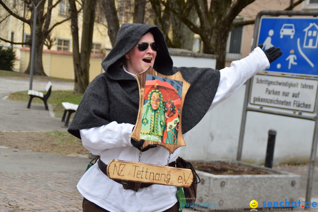 Fasnetsumzug - Fasching: Tettnang am Bodensee, 05.03.2019