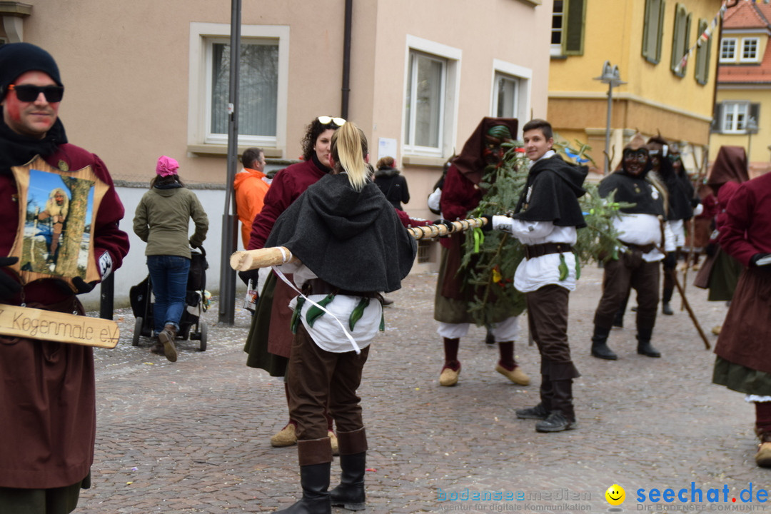 Fasnetsumzug - Fasching: Tettnang am Bodensee, 05.03.2019