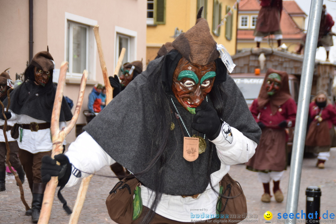 Fasnetsumzug - Fasching: Tettnang am Bodensee, 05.03.2019