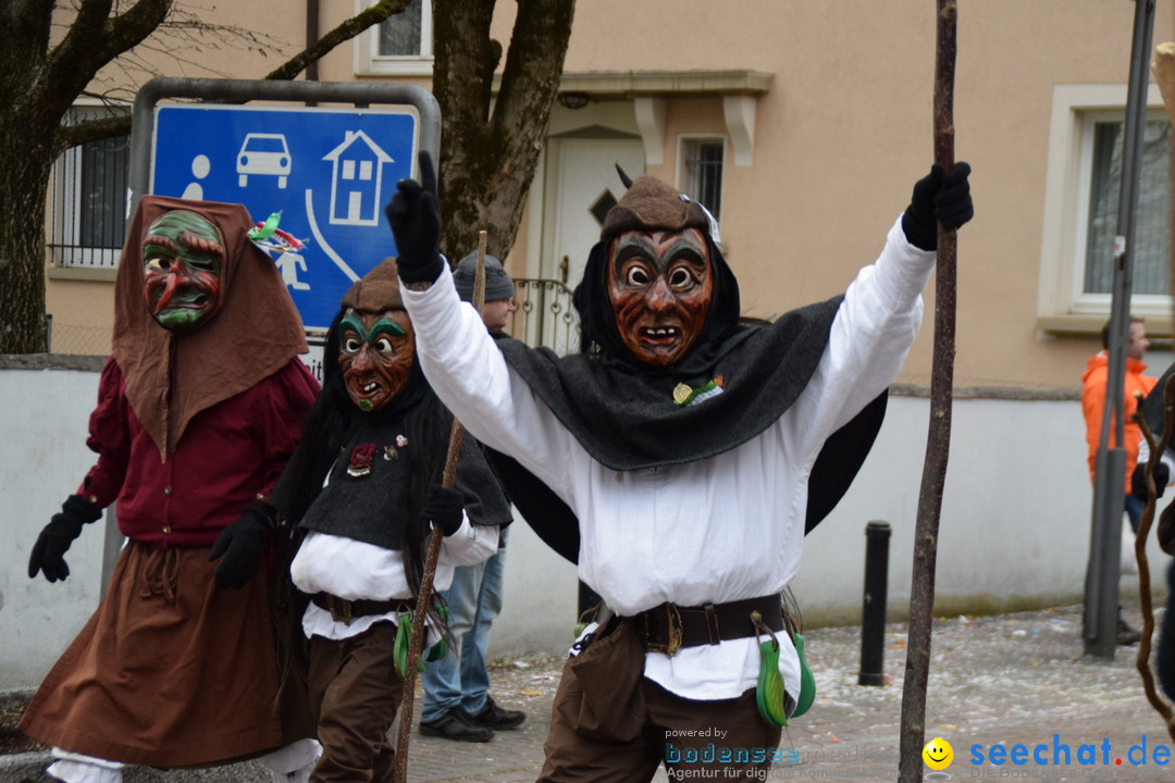 Fasnetsumzug - Fasching: Tettnang am Bodensee, 05.03.2019