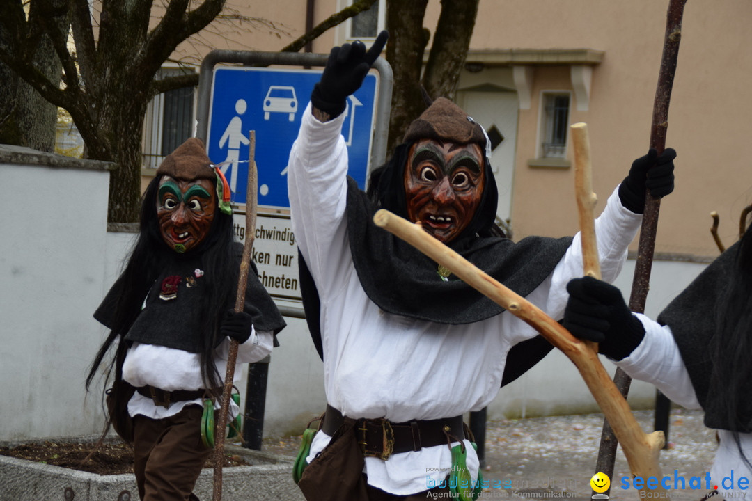 Fasnetsumzug - Fasching: Tettnang am Bodensee, 05.03.2019