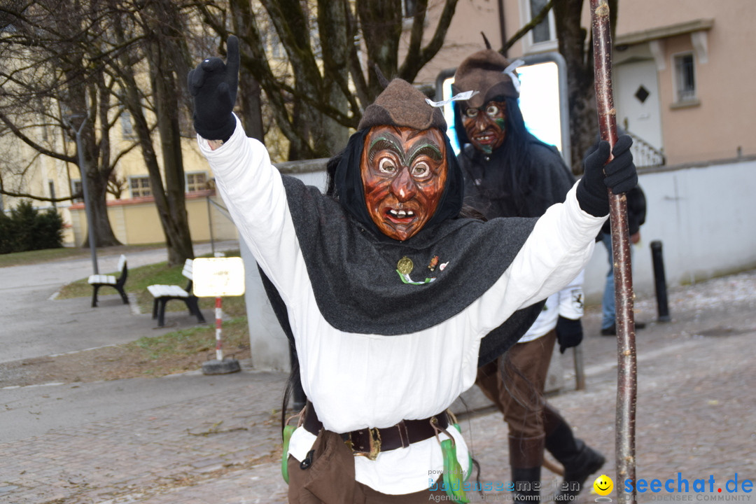 Fasnetsumzug - Fasching: Tettnang am Bodensee, 05.03.2019